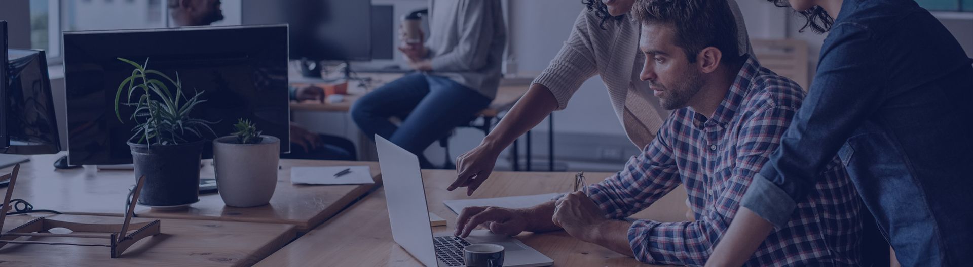 Business Process Services